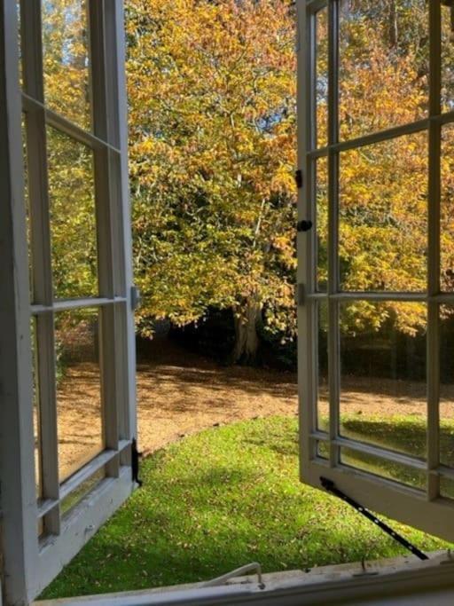 Landford'S Cottage, Your Retreat! Exterior foto
